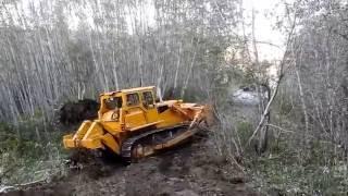 Bulldozer making logging roads