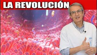 IMPORTANTE: PREBIOTICOS y PROBIOTICOS beneficios la REVOLUCIÓN