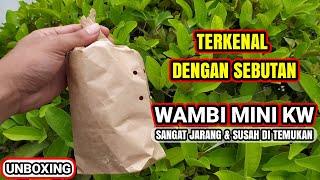 Burung Bagus Jarang Yang Punya Susah Dapatnya !!  | UNBOXING