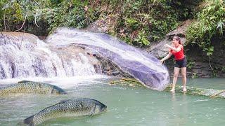 Cast Net to Catch Many Fish in the Stream Goes To Market Sell. Build A Farm - My Bushcaft / Nhất