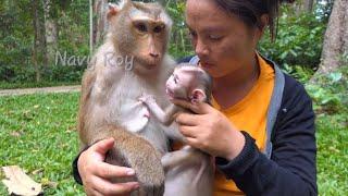 Again & again! KT try to train new abandoned baby with Libby but new baby still afraid of her