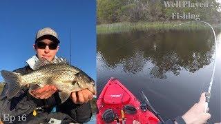 Fishing Brogo Dam in Winter | LOTS OF SMALL FISH