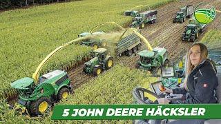 Chopping Maize with 5 JOHN DEERE forage harvester