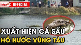 Hoảng hồn phát hiện CÁ SẤU trong hồ nước ở Vũng Tàu, tìm phương án VÂY BẮT khẩn cấp