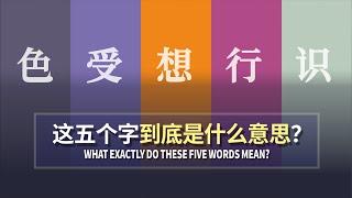 你的身体和心灵是由五阴组成的！解析色、受、想、行、识的奥秘，为什么佛教认为人是无我？｜人生八苦｜集谛｜五阴聚合｜五蕴聚合｜十二因缘｜业报轮回｜色｜受｜想｜行｜识｜非色四阴｜名色【08/15早期佛教】