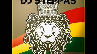 DJ Steppas Roots Sample Mixxx