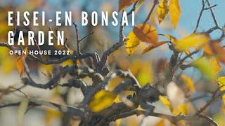 Bonsai is Life