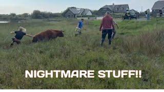 THE KINDA THING FARMING NIGHTMARES ARE MADE OF...