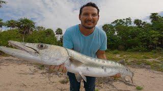 Un nuevo record pescando! -  Barracuda Gigante!