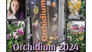 Обзор Orchidium, ,весна 2024 г.#обзор#orchidium#orchid#цветы#plants