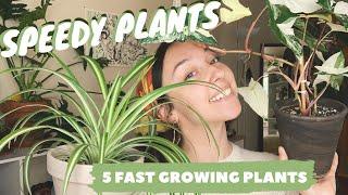 5 FAST GROWING INDOOR PLANTS | + how to grow plants fast