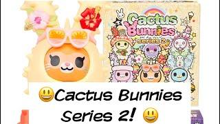 Let’s Open Some Fresh New Tokidokis! Cactus  Bunnies Series 2! 