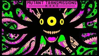 Mutant Transmissions 3000 ! more killer bands that played MT #synth  #punk  #synthpunk  #mutantwave