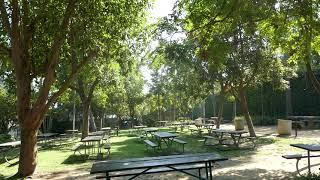 Picnic Tables Hollywood Bowl Los Angeles California USA September 8, 2024 Summer 103 Degrees