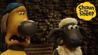 Shaun the Sheep  Shook Sheep  - Cartoons for Kids  Full Episodes Compilation [1 hour]