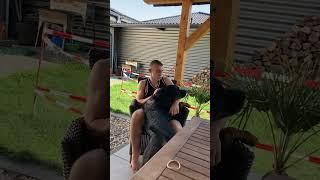 Rottweiler frisst meinen Sohn