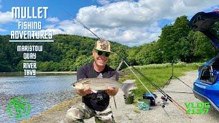 Sea Fishing uk | Mullet Fishing Adventures | Maristow Quay | River Tavy | Vlog#137