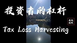 投资者的杠杆 tax loss harvesting | 税务损失收获 | 省税策略 | 减税方法