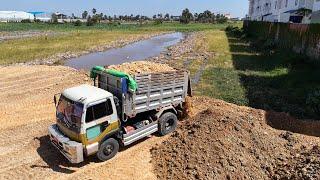 Ep3 Wonderful show Processing Dump Trucks Filling land With D31P KOMATSU Dozer Push to fill the soil