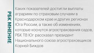 Показатели по агрострахованию на Юге России || РБК Мнение