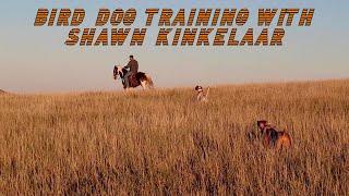 BIRD DOG TRAINING WITH SHAWN KINKELAAR (EPISODE 2)