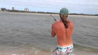 Fishing Cotton Tree