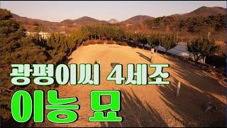 수암의 풍수기행 제306화 점혈의 기본 법칙 3 - 직래(直來)하면 천곡(扦曲)하라.