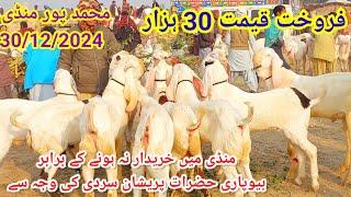 #Mohammadpur Bakra Mandi Last Updated of Year 2024 At Shahzaib goat farm Goat Farming in Pakistan