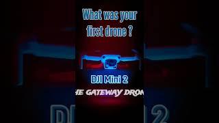 The Gateway Drone