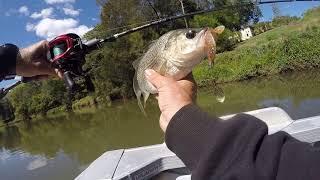 Samurai Refraction Targeting Bass in Lismore N.S.W