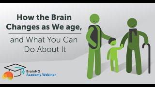 BrainHQ Academy: How the Brain Changes as We Age, and What You Can Do About It