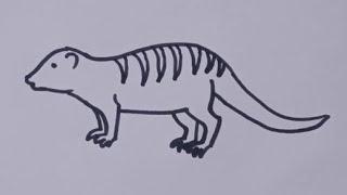 How to draw a Mongoose easy step by step/Animal drawing Mongoose drawing @kids topic