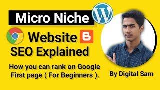 Advance SEO Micro Niche Website SEO And Benefits Exaplained In Hindi