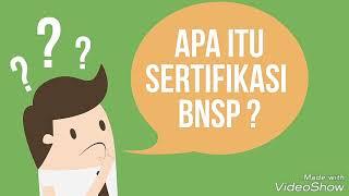 Sertifikasi Profesi dari BNSP