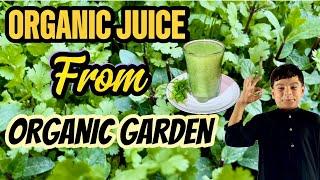 ORGANIC JUICE || FROM ORGANIC GARDEN || SIR G SECRET  RECIPE || FOR HEALTHY GUT || HEALTHY DRINK 