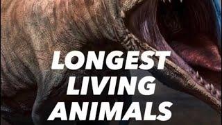 Longest Living Animals
