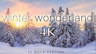 11 часов зимней страны чудес в формате 4K + успокаивающая музыка для подвешивания для расслабления