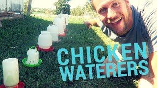 The Best Chicken Waterers