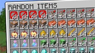 Can I Beat Minecraft Using Random Items?