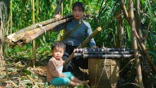 Harvesting sugarcane to sell at the market, Cooking with children, Triệu Thị Hiền