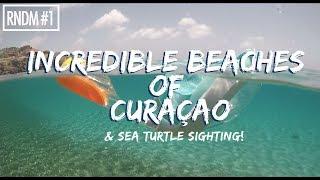 BEACHES OF CURACAO - & SEA TURTLE SIGHTING!!!
