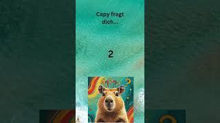 Capy fragt dich... Rätsel 5  #capibara #funny #rätselspaß #rätsel #tiere #knifflig #spaß #fragen