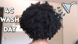 4C Natural Hair Wash Day Routine for MOISTURE & HYDRATION