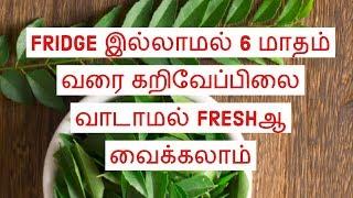 How To Store Curry Leaves Fresh & Green Without Fridge||6 மாதம் வரை கறிவேப்பில்லை வாடாமல் வைக்கலாம்