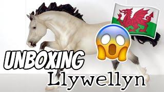 UNBOXING LLYWELLYN!!! THE FIRST RELEASE IN BREYERS 2024 PREMIER CLUB