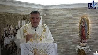 ¿Quién es Cristo para ti? | Homilía de Hoy: San Vicente de Paúl. 27-09-24 | P. Santiago Martín FM