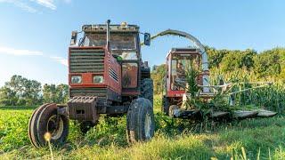 OLD SCHOOL CORN SILAGE  | Hesston 7650 & Fiatagri 180-90 Pushing Silage