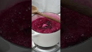 Homemade Blueberry Syrup