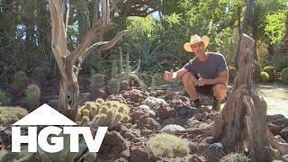 Drought-Tolerant Plants | Gardening Tips | HGTV