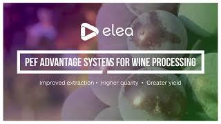 ELEA Pulsed Electric Field improved WINE processing